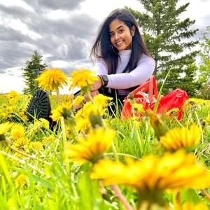 Meet your Posher, Jerin